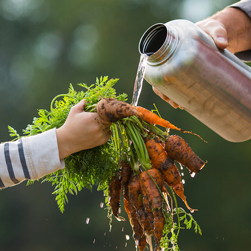 64oz-wide-with-loop-cap-y1 64oz_wide_mouth_bottle_carrots_rinse_square.jpg
