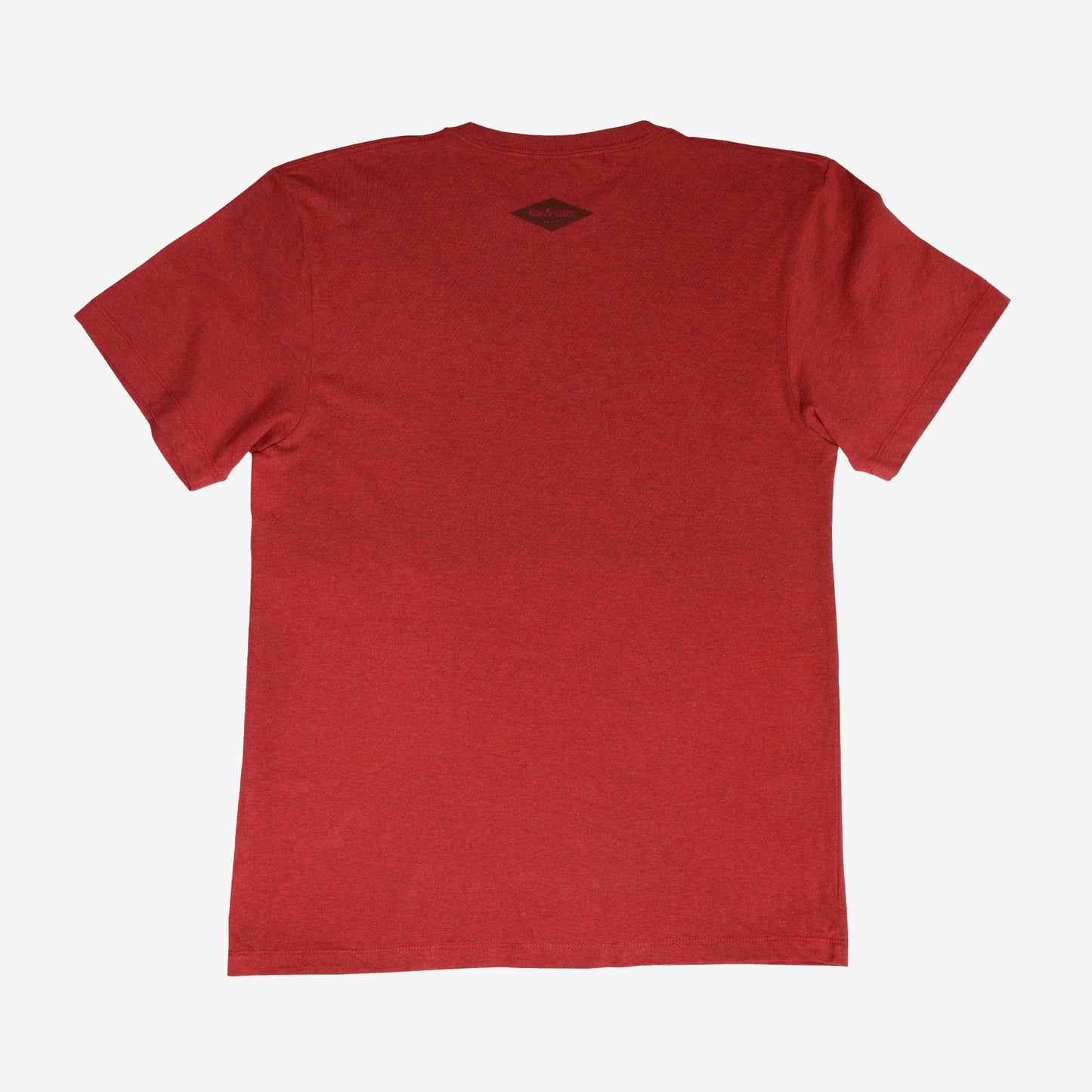 backyard-t-shirt-v4 Shirt_Mtn_Back.jpg